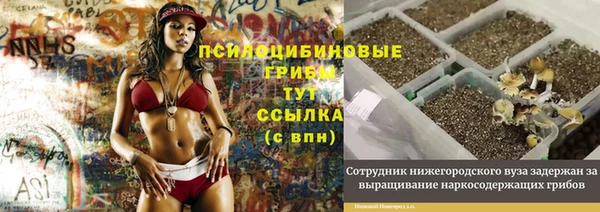 PSILOCYBIN Балабаново